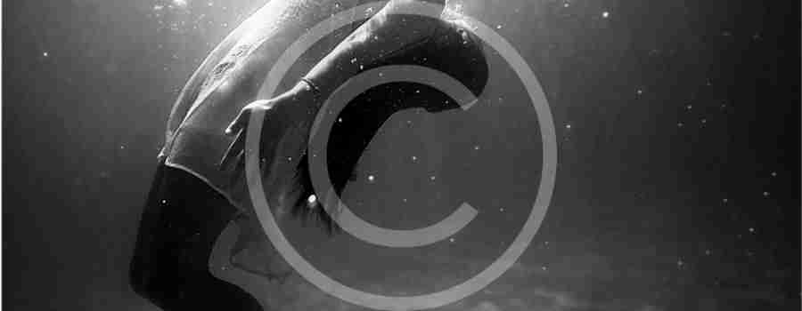 Minimalist Patterns, Delicate and Subtle Motion